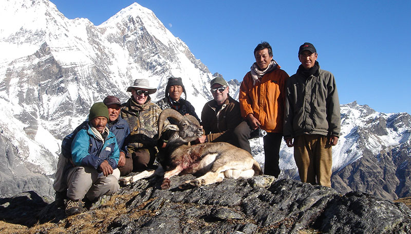 Himalayan Safaris Pvt Ltd.